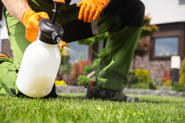 Best Pest Prevention Services  in Kenmore, NY